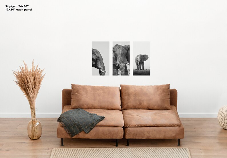 Captivating Black and White Elephant Triptych, Fine Art Wildlife, 3
