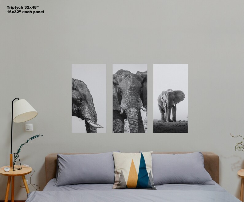Captivating Black and White Elephant Triptych, Fine Art Wildlife, 3