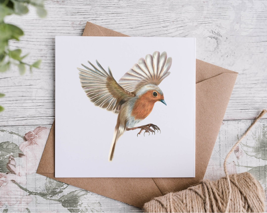 Robin in Flight Card Robin Greeting Card Robin Card Wildlife Card Bird ...