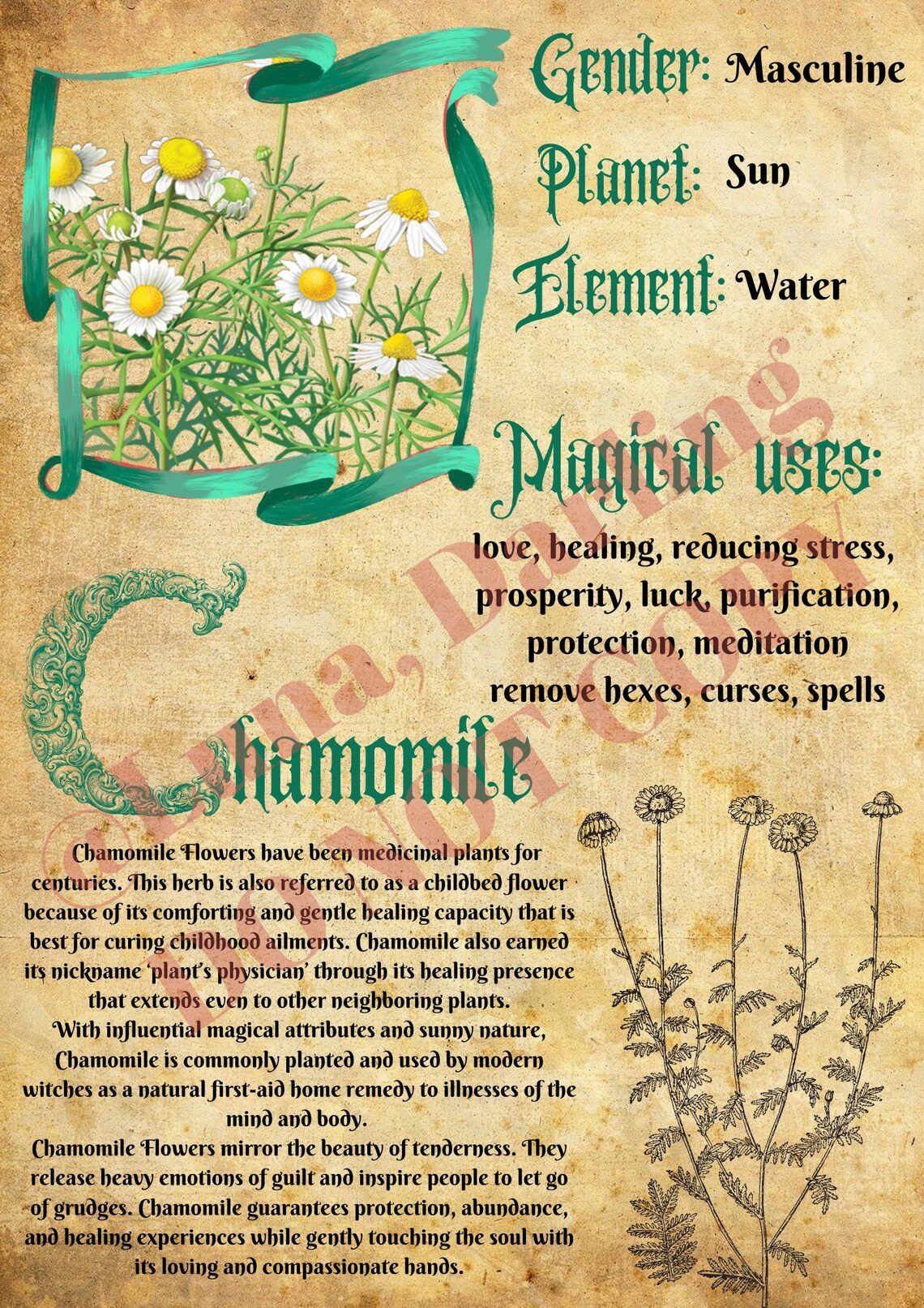 Book of Shadows Pages Herbology Pages Printable Herbology Etsy