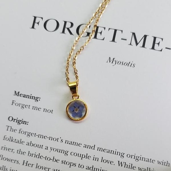 Pressed forget-me-not flower pendant with 18" goldtone stainless steel chain