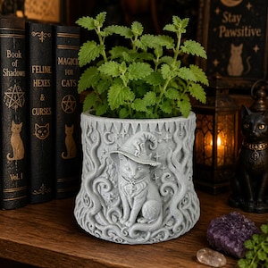Mystic Kitty Planter