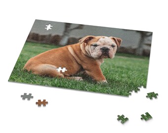 Bulldog Look at the World 300 piece Cardinal Jigsaw Puzzle Dog NIB! 
