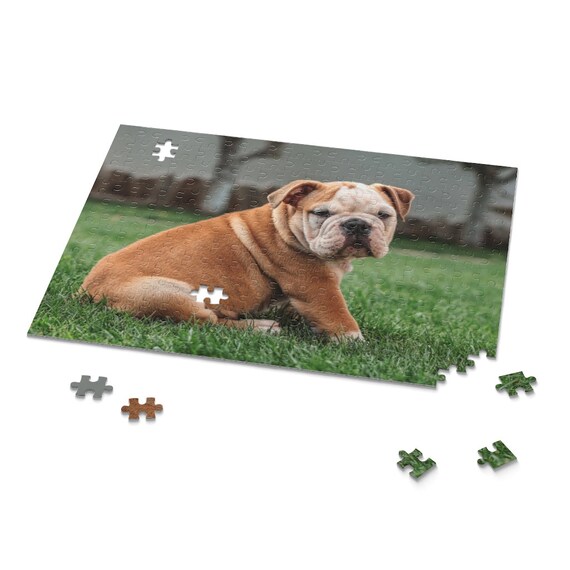 Puzzle 500 Pcs Puppy