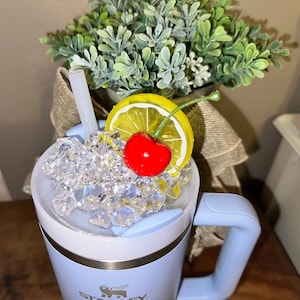 Pu&ograve; includere: Un thermos da viaggio in acciaio inossidabile blu chiaro con coperchio bianco e manico nero. Il thermos &egrave; pieno di ghiaccio e sormontato da una fetta di limone e una ciliegia rossa.