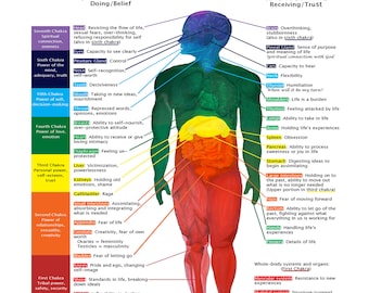 May include: A colorful illustration of a human body with the "Roby Chart" title. The chart shows the connection between beliefs and anatomy, with the right side representing masculine energy and the left side representing feminine energy. The chart is divided into seven chakras, each with a corresponding body part and belief.
