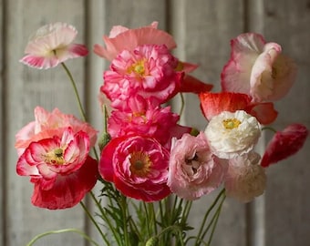 Shirley Poppy Double Flowered Mix Seeds | Papaver rhoeas | Annual Hardy Flower | 100+ seeds | Organic Open Pollinated
