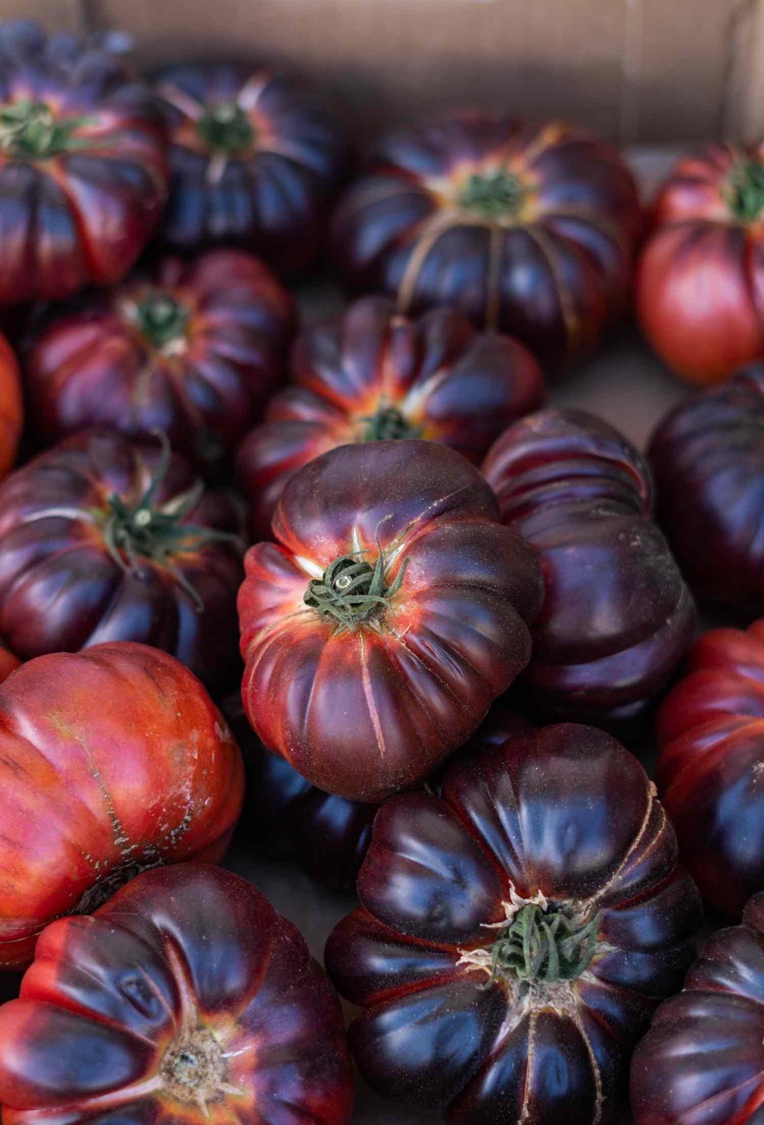 Semi Di Pomodoro Indigo Blue Beauty - 10 Semi - Varietà Super Bistecca - Freschi - Foto 1