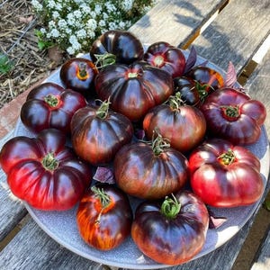 May include: A collection of heirloom tomatoes in various shades of purple, red, and black. The tomatoes are arranged on a grey plate with a rustic wooden background.