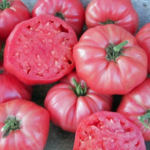 May include: Close-up of a group of large, pink heirloom tomatoes. Some of the tomatoes are cut in half, revealing their juicy, red flesh and seeds.