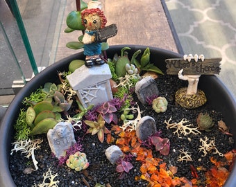 Succulent Garden, Succulent Gift, Succulent Arrangements, Home Decor, Cemetery, Fairy Garden, miniature garden.