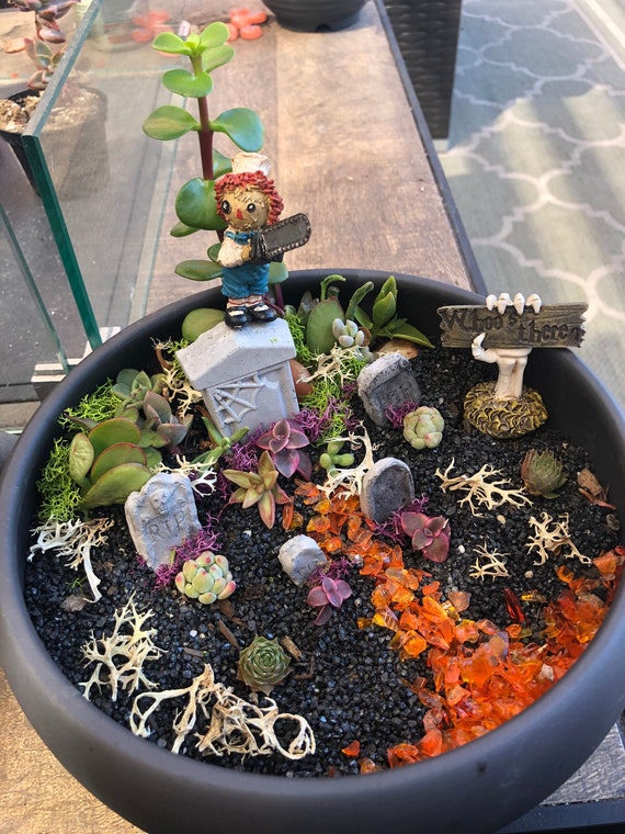 Succulent Garden, Succulent Gift, Succulent Arrangements, Home Decor,  Cemetery, Fairy Garden, Miniature Garden. - Etsy
