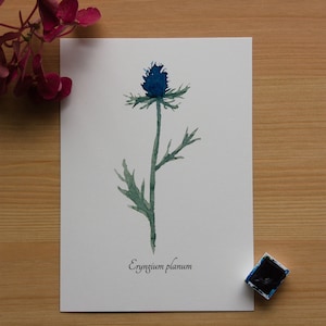 Aquarellbild "Botanische Distel" / DIN A6 / Postkarte