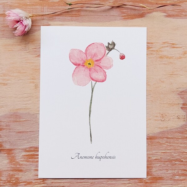 Aquarellbild "Botanische Anemone" / DIN A6 / Postkarte