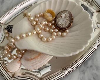 Shell Ceramic Dishes