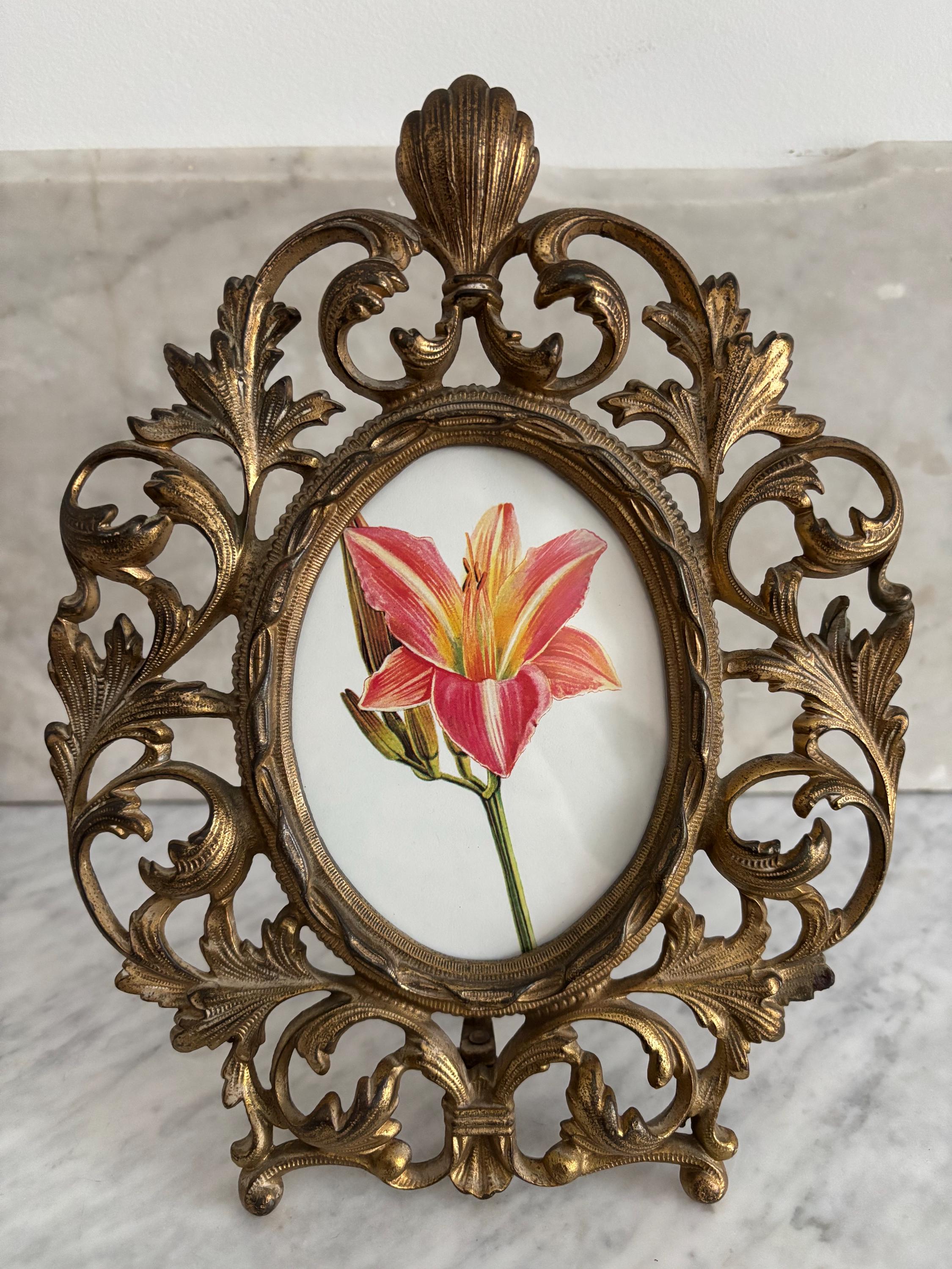 Gold Photo Frame, Ornate Shell, USA c1900