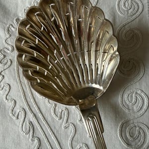 Puede incluir: Un colador plateado en forma de concha con un mango largo. El colador tiene un borde festoneado decorativo y una serie de ranuras recortadas verticales y horizontales. El mango también está detallado con líneas verticales.