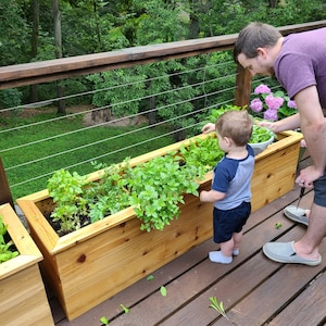 May include: A young child and an adult are tending to a wooden planter box filled with various herbs. The planter box is on a wooden deck with a railing in the background.
