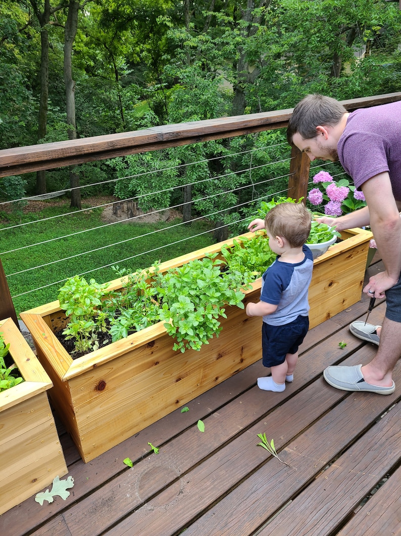 May include: A young child and an adult are tending to a wooden planter box filled with various herbs. The planter box is on a wooden deck with a railing in the background.
