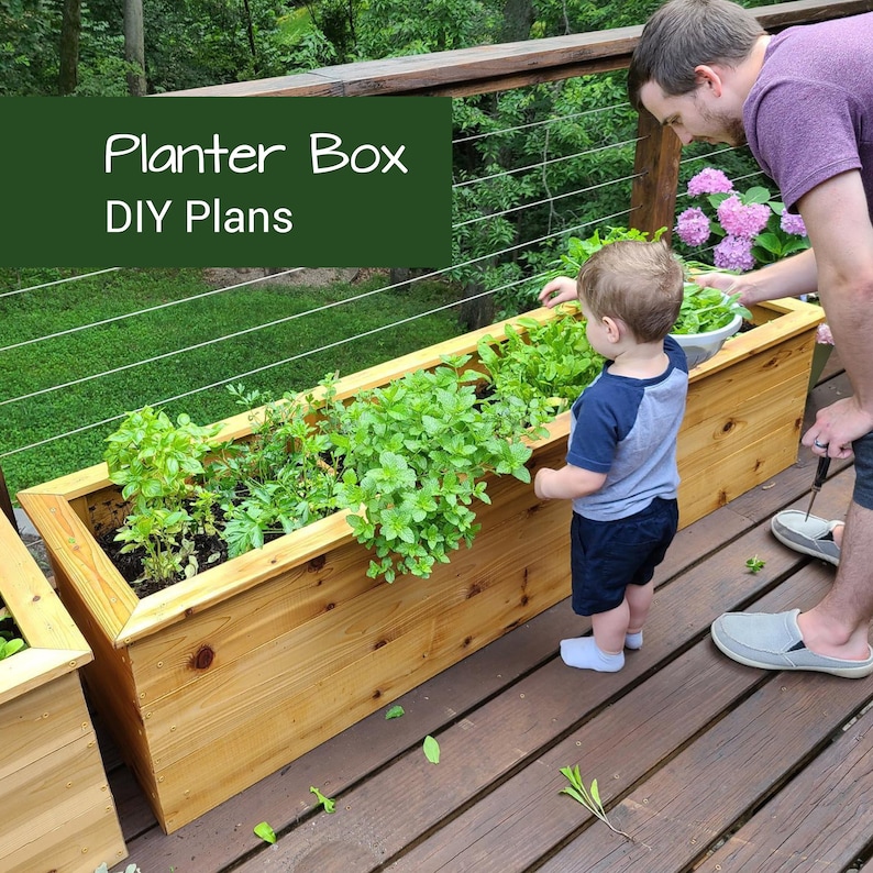 Kid and man gathering herbs from DIY planter box
