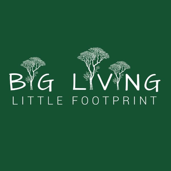 BigLittleFootprint