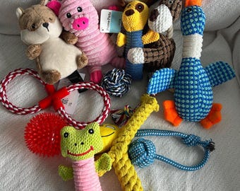 Organic Dog Toy Gift Set – 5 Plush, Rope & Chew Toys for Puppies and Dogs