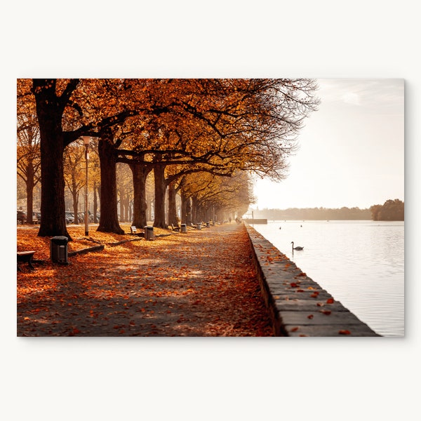 Hannover Poster Maschsee im Herbst – Wandbild – Plakat | Versandkostenfrei