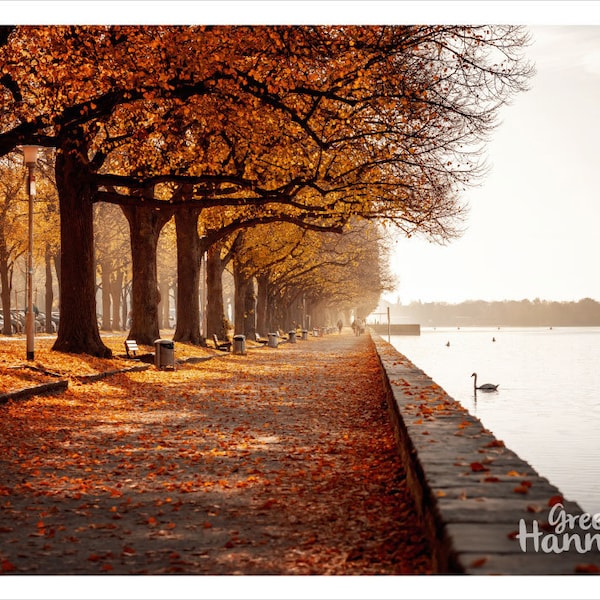 Postkarte Maschsee im Herbst