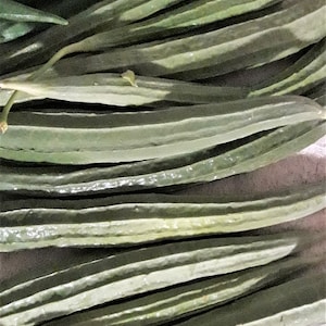 May include: A bunch of fresh green okra pods, arranged in rows on a white surface.