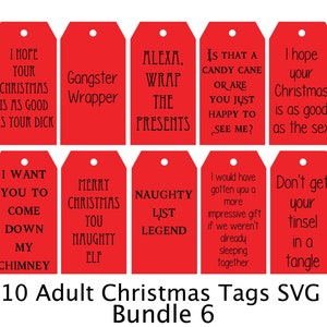 Funny Christmas Gift Tags, SVG File, Adult, Digital, Laser File, Gift Tags SVG, Sexy, Xrated, Holiday Tag, Inappropriate Holiday Tags, 6