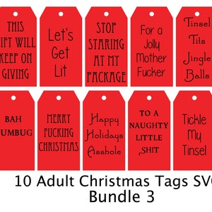 Funny Christmas Gift Tags, SVG File, Adult, Digital, Laser File, Gift Tags SVG, Sexy, Xrated, Holiday Tags, Inappropriate Holiday Tags, 3