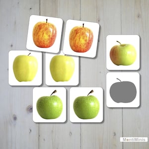 Apfelsorten Memory (inkl.Silhouetten-Memory)- Druckvorlage - Printable- Unterrichtsmaterial - Umsatzsteuerbefreit gemäß UStG §19
