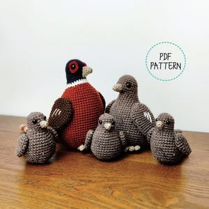 May include: A family of five crocheted birds, including a large pheasant with red, brown, and black details, and four smaller gray birds. The birds are arranged on a wooden surface. The image includes the text "PDF PATTERN".