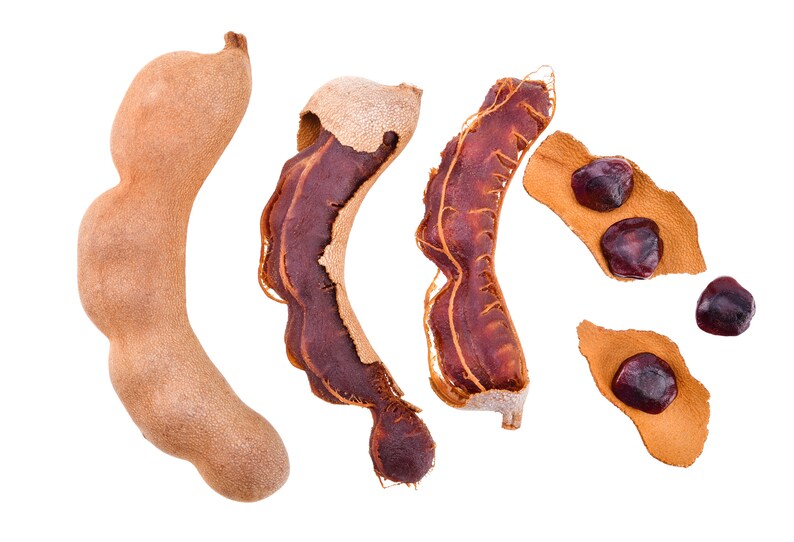 Sweet Tamarind 20 Exotic Fruit Seeds Tamarindus Indica Tangy Tasty Exotic Tropical Fruits Etsy