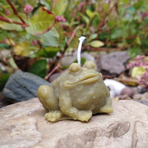 Handmade Naturally Dyed Beeswax Toad Candle