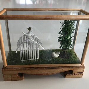 Può includere: Una teca in vetro in miniatura con una base in legno e una statuetta di uccello bianco all'interno di una gabbia bianca. La teca contiene anche un piccolo cespuglio verde e una seconda statuetta di uccello bianco sul pavimento.