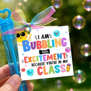May include: A blue plastic bubble wand tube with a heart-shaped handle, topped with a translucent rainbow ribbon. Attached is a square white tag featuring the text "I AM BUBBLING WITH EXCITEMENT BECAUSE YOU'RE IN MY CLASS" with colorful cartoon icons.