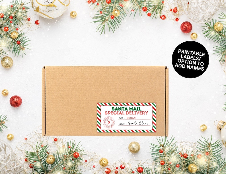 May include: A brown cardboard box with a Santa Mail Special Delivery label. The label has red and green stripes and text that reads "Santa Mail Special Delivery" and "For: Logan" and "From: Santa Claus". The image also includes Christmas decorations.