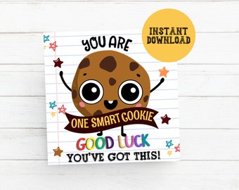 One Smart Cookie Test Tag, Testing Day printable, Good Luck Tag, Snack Tag, Test Taking Motivation Teacher Gift, Classroom Treat Tag PTO PTA