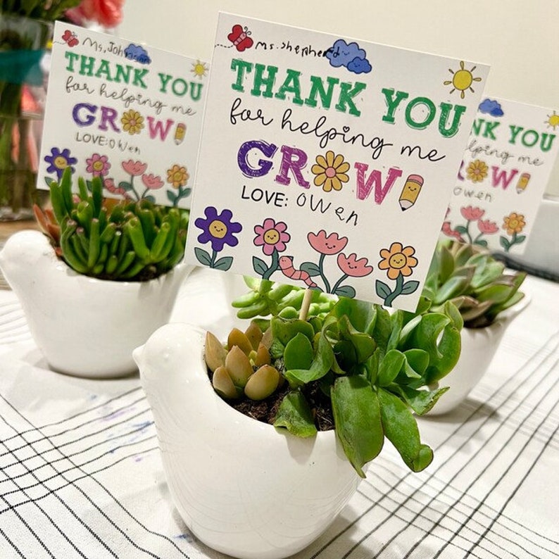 May include: Two white bird-shaped planters with succulent plants. Each planter has a colourful card with the text "Thank You for helping me GROW!" and a child's name.