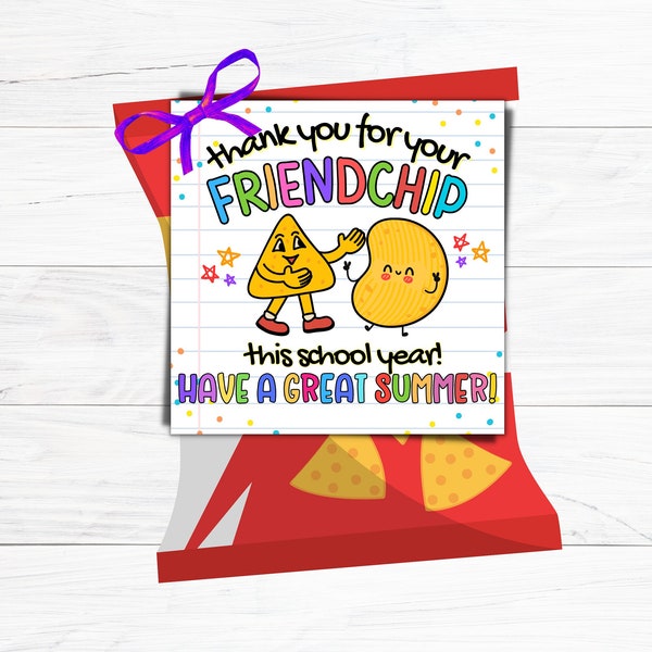 End of School Year Gift Tag, Friend Chip Bag Tags, Last Day of School Gift Tag, Classroom Treat, Preschool Gift Tag Summer Classmate Favor