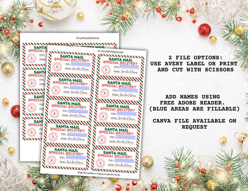 May include: Sheets of Santa Mail Special Delivery labels with red, green, and white borders. The labels have space to write the recipient's name and are designed for Avery labels or print and cut. Text includes "Santa Mail Special Delivery."
