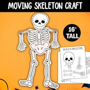 May include: A white paper skeleton craft with black outlines and metal fasteners at the joints, measuring 16 inches tall. The skeleton is shown assembled, alongside two printed sheets labeled BUILD A SKELETON with individual body parts.