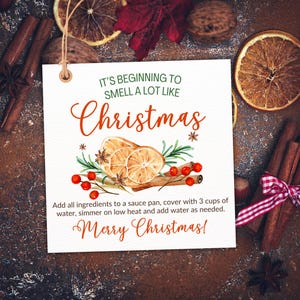 May include: A square white tag with the text "IT'S BEGINNING TO SMELL A LOT LIKE Christmas" in green and red. The tag features a watercolor illustration of dried orange slices, berries, and greenery. Cinnamon sticks and star anise surround the tag.