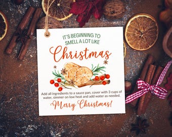 Op de afbeelding: Een vierkant wit label met de tekst "IT'S BEGINNING TO SMELL A LOT LIKE Christmas" in groen en rood. Het label toont een aquarel illustratie van gedroogde sinaasappelschijfjes, bessen en groen. Kaneelstokjes en steranijs omringen het label.