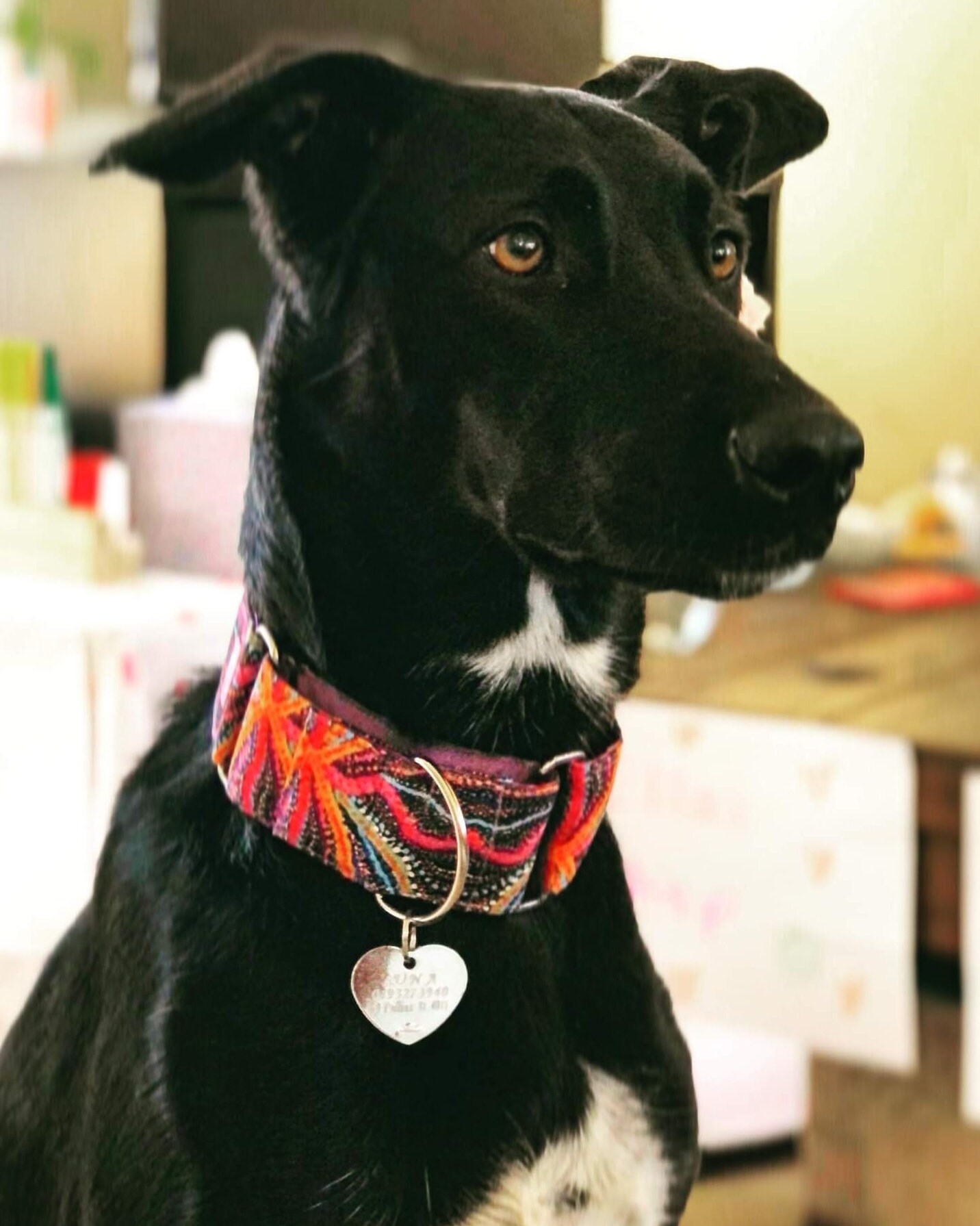 Martingale Dog Collars Native Seed Dreaming Aboriginal Etsy