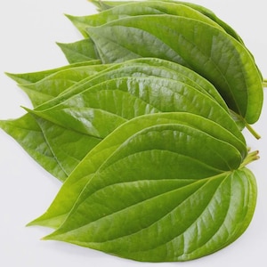 Fresh Organic Betel Leaves --Paan Patha, paan, Piper Betel, Beetel