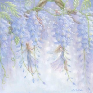 Fairies with wisteria picture. Lilac/mauve Giclee art print. Signed and numbered. Supplied in mount ready to frame.