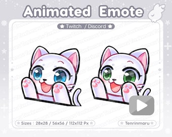 Animated Emote | Bongo Emote | Cute White Cat | Blue eyes & Green eyes | Twitch/Discord/Youtube | Kawaii cat/Kitty Cat