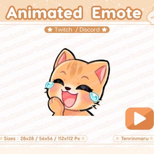 Emote animado / Emote de risa / Lindo gato naranja / Twitch / Discord / YouTube / Gato kawaii / Gatito